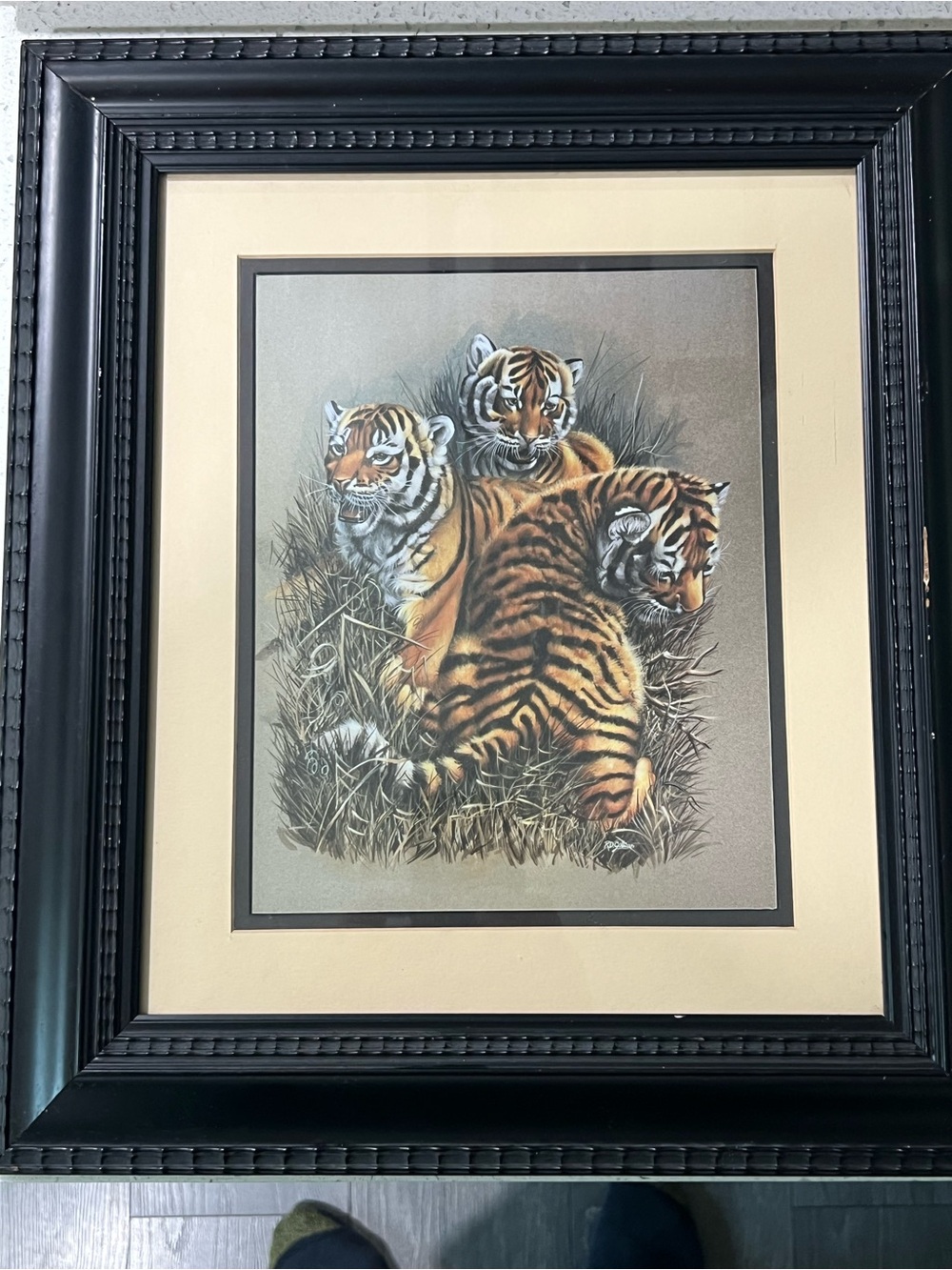 African Tiger Cat Cubs Kids Rooms Picture Black Framed And Matted Art Print